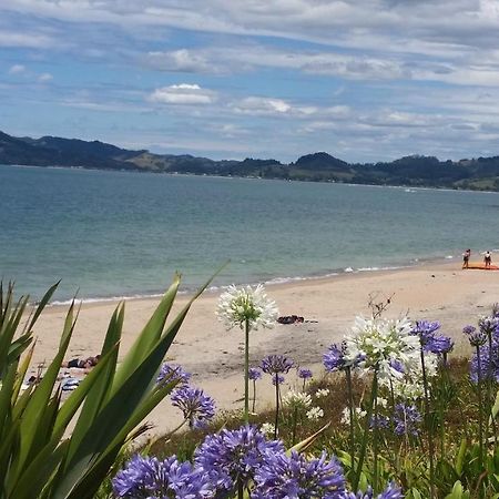 Cozy Cottage Whitianga Eksteriør bilde